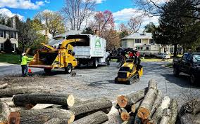 How Our Tree Care Process Works  in  Owensville, IN